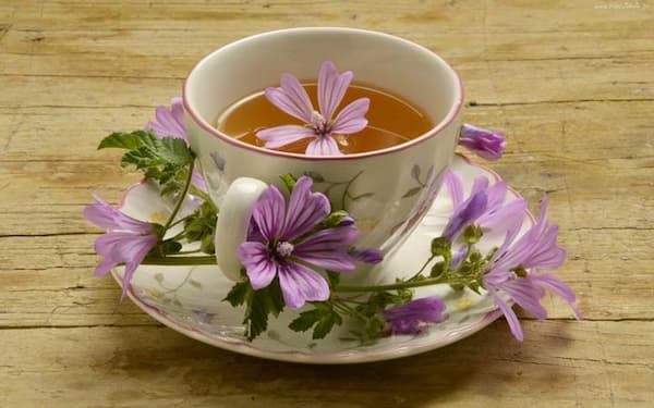 تصویر 1 از فروش گیاه دارویی پنیرک + قیمت خرید به صرفه